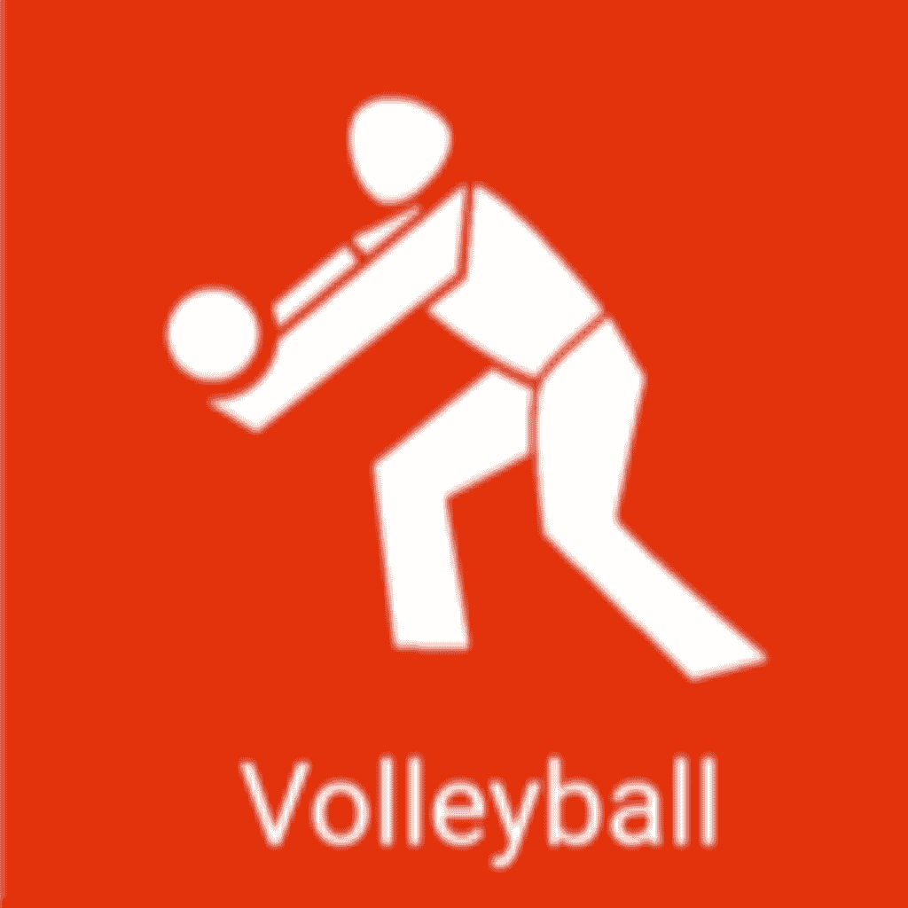 logo_volleyball